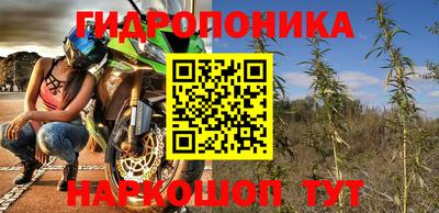 apvp Краснознаменск