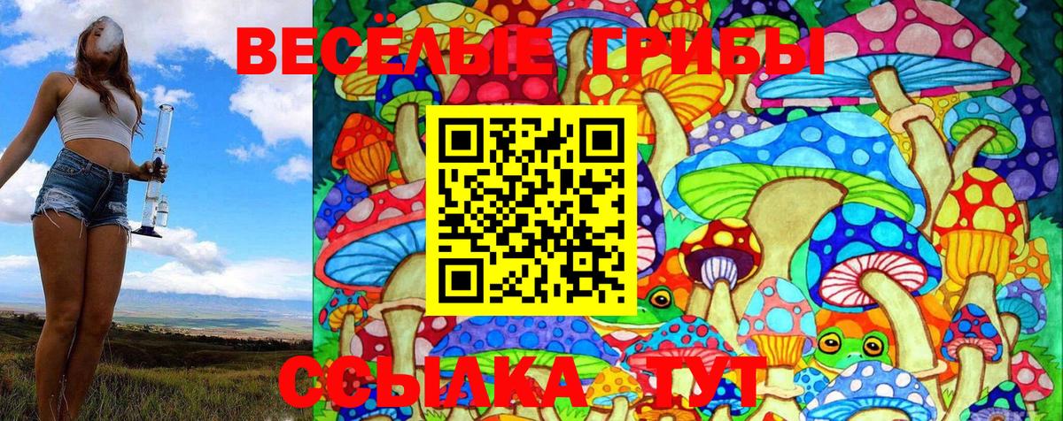 Галлюциногенные грибы Psilocybe  Вход с VPN  Зима 